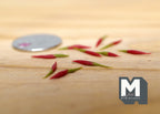 1:12 Scale Miniature Red Chili Peppers, Set of 10, 9/16 inch long, DIY Dollhouse Supply