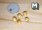 1:12 scale miniature onions in golden yellow, set of 5, shown beside a coin for scale on a wood surface
