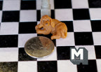 1:12 Dollhouse Supplies Miniature Puppy Dog - C048