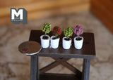 1:12 Dollhouse miniature plants set of 4 B058