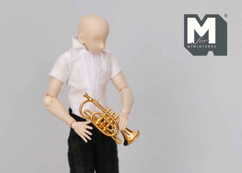 1:12 scale miniature brass pocket trumpet with storage case, gold finish, shown held by a figure in a white shirt