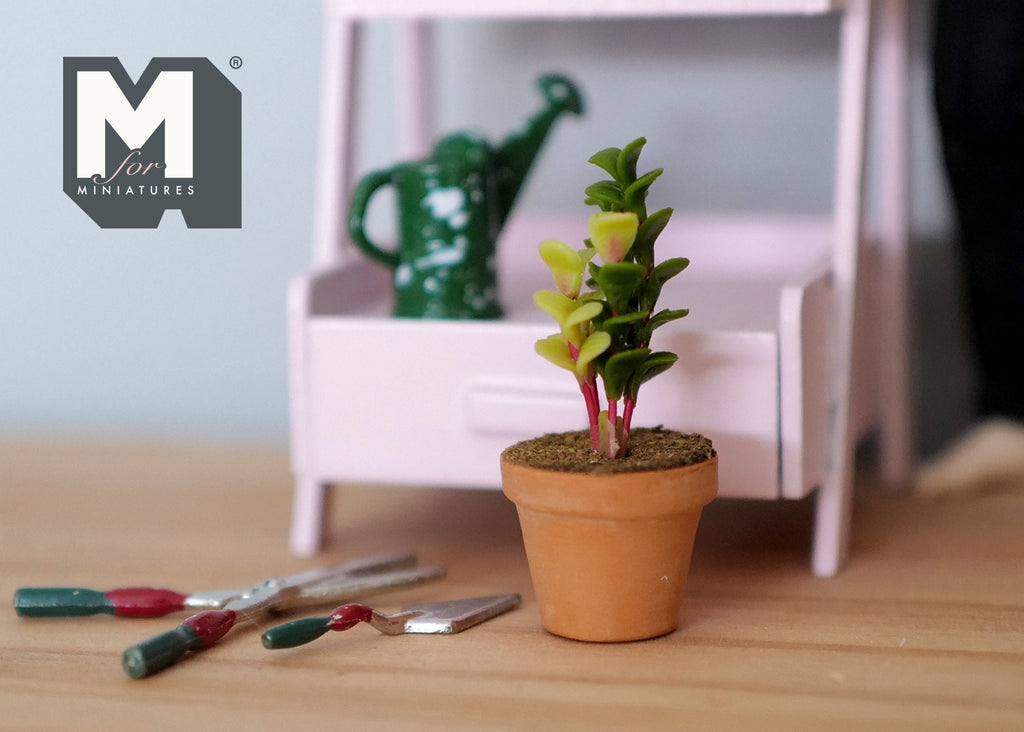 1:12 scale miniature potted cone topiary in a terracotta pot, layered green leaves, on a wood floor beside garden tools
