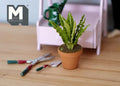 1:12 scale miniature potted green and yellow striped leaf plant in clay pot, shown with garden tools on a wood floor