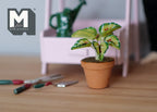 1:12 scale miniature potted variegated dieffenbachia in clay pot, green and cream leaves, beside garden tools