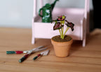 1:12 scale miniature potted red and green coleus plant in clay pot, shown beside garden tools on a wood table