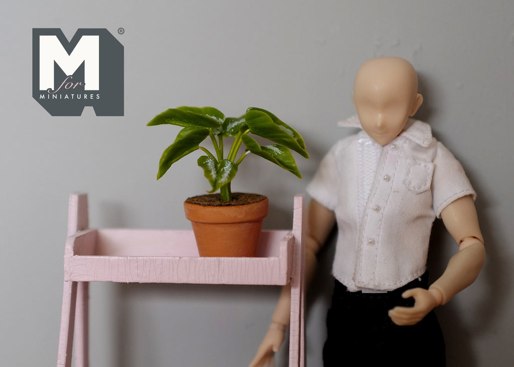 1:12 Scale Miniature Potted Plant with Broad Leaves, Terracotta Pot, 1-9/16 inch tall, DIY Dollhouse Supply (green)