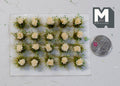 1:12 scale miniature flower cluster tufts in cream with green grass, set of 20, on a sheet beside a coin