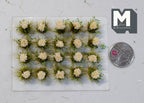 1:12 scale miniature flower cluster tufts in cream with green grass, set of 20, on a sheet beside a coin