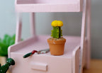 1:12 scale miniature flowering cactus with yellow bloom in a round clay pot, short, shown on a pink garden shelf