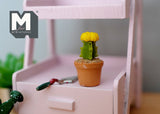 1:12 Miniature Cactus in Round Clay Pot Dollhouse Supplies Garden Flowers and Leaves (Short) - F085