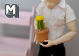 1:12 Miniature Cactus in Round Clay Pot Dollhouse Supplies Garden Flowers and Leaves (Short) - F085