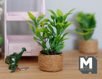 1:12 Scale Miniature Potted Plant in Woven Basket Pot, 2-3/4 inch tall, DIY Dollhouse Supply