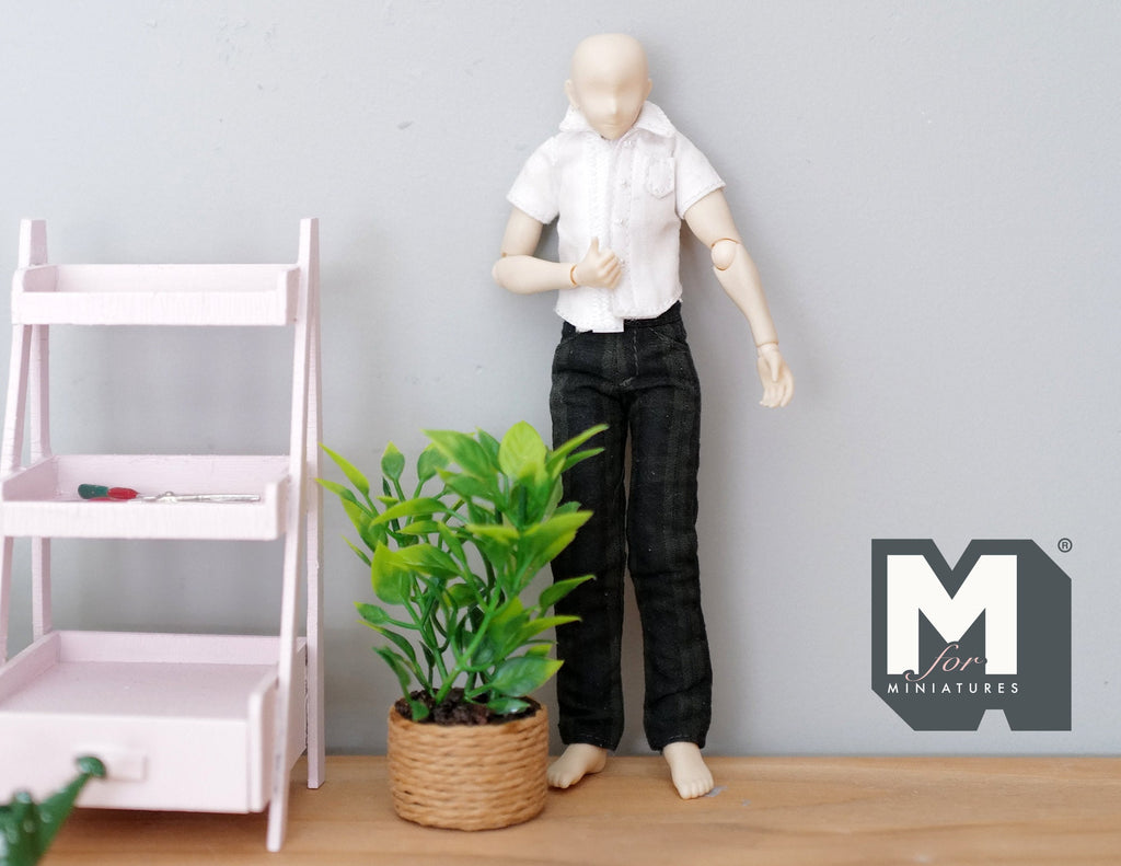 1:12 Scale Miniature Potted Plant in Woven Basket Pot, 2-3/4 inch tall, DIY Dollhouse Supply