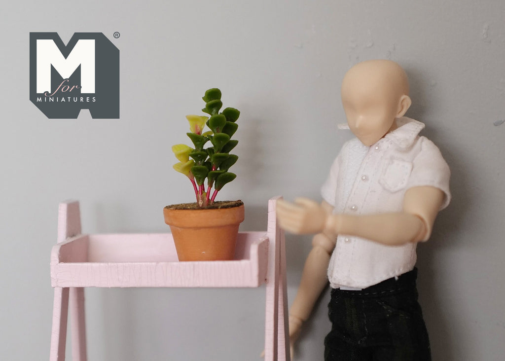 1:12 Scale Miniature Potted Cone Topiary in Terracotta Pot, 1-3/4 inch tall, DIY Dollhouse Supply