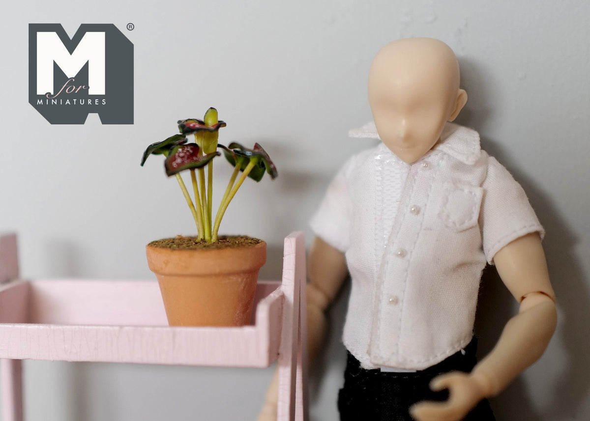 Dollhouse Supplies potted plants dolls house decoration living room 1 12th scale miniature - H029