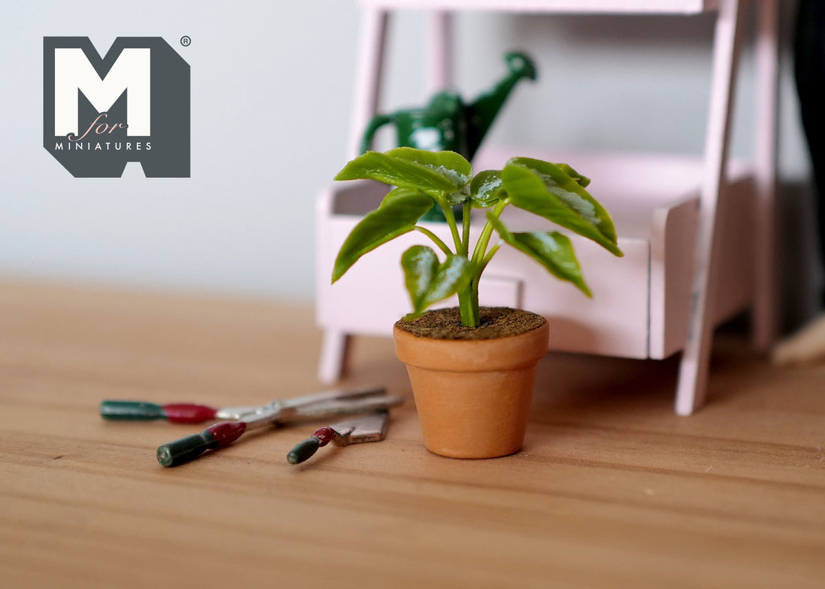 1:12 Scale Miniature Potted Plant with Broad Leaves, Terracotta Pot, 1-9/16 inch tall, DIY Dollhouse Supply (green)