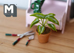 1:12 Scale Miniature Potted Plant with Broad Leaves, Terracotta Pot, 1-9/16 inch tall, DIY Dollhouse Supply (green)