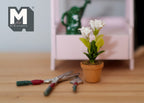1:12 scale miniature potted white flowers with green leaves in a terracotta pot, on a wood floor beside garden tools