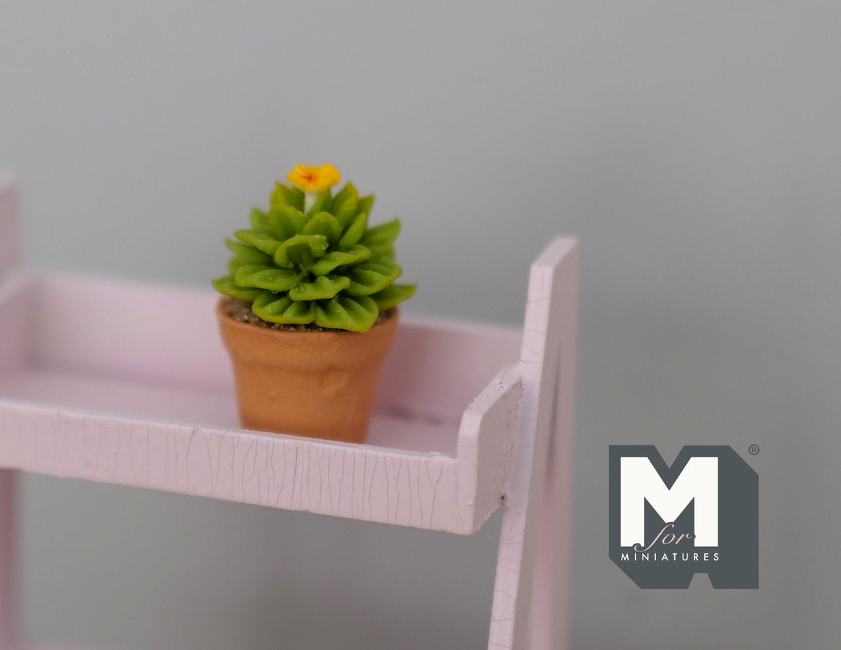1:12 Miniature Cactus in Round Clay Pot Dollhouse Supplies Garden Flowers and Leaves (Short) - H033