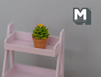 1:12 Miniature Cactus in Round Clay Pot Dollhouse Supplies Garden Flowers and Leaves (Short) - H033