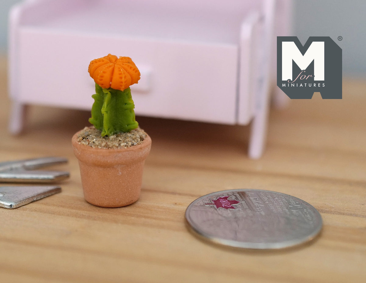 1:12 Miniature Cactus in Round Clay Pot Dollhouse Garden Flowers and Leaves (Short) - H033