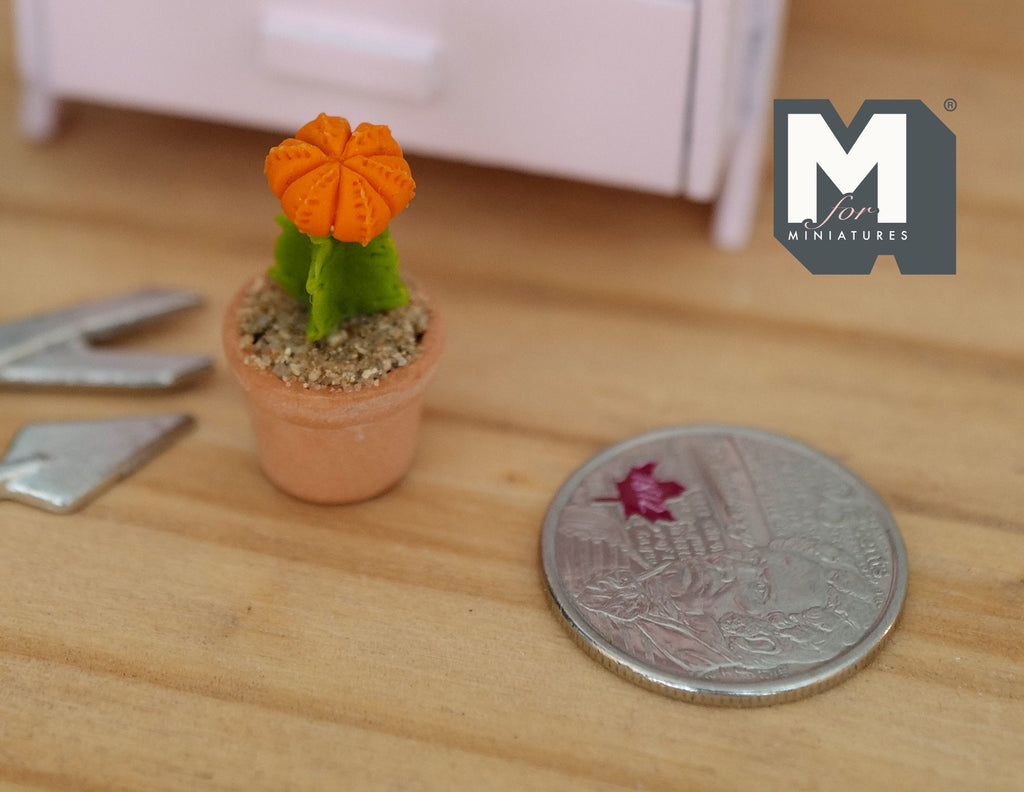 1:12 Miniature Cactus in Round Clay Pot Dollhouse Garden Flowers and Leaves (Short) - H033