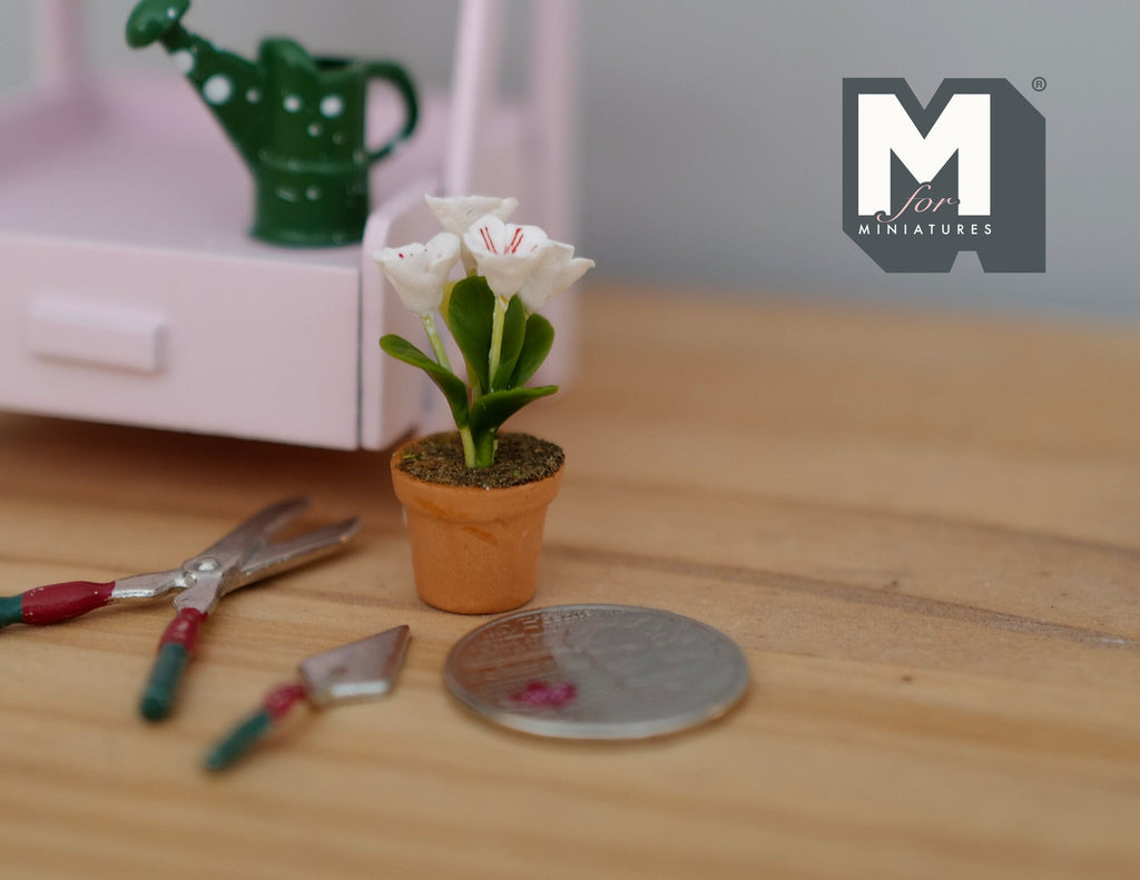 1:12 scale miniature potted flowers in white and pink in a terracotta pot, shown beside garden tools and a coin