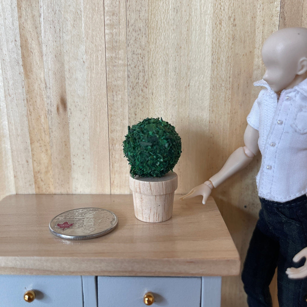 1:12 Scale Miniature Topiary Ball Plant in Pot, 1-1/2 inch tall, DIY Dollhouse Supply