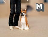 1:12 Dollhouse Supplies Miniature Boxer / Dollhouse Supplies Miniatures dog 1 12th pet C055