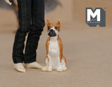 1:12 Dollhouse Supplies Miniature Boxer / Dollhouse Supplies Miniatures dog 1 12th pet C055