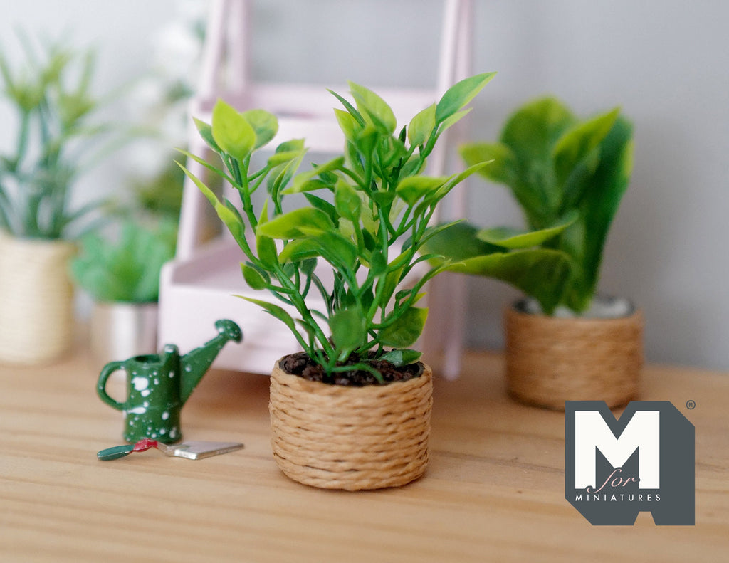1:12 scale miniature potted plant with green leaves in a woven basket pot, shown on a wood table with other plants