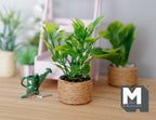 1:12 scale miniature potted plant with green leaves in a woven basket pot, shown on a wood table with other plants
