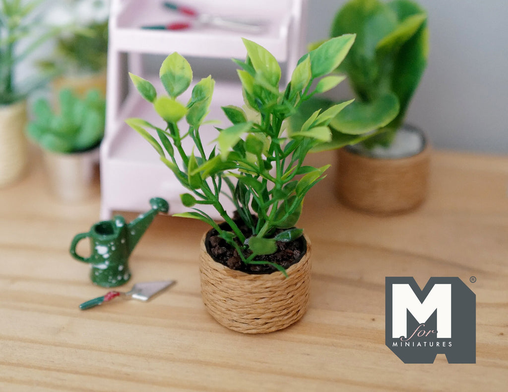 1:12 Scale Miniature Potted Plant in Woven Basket Pot, 2-3/4 inch tall, DIY Dollhouse Supply