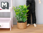 1:12 Scale Miniature Potted Plant in Woven Basket Pot, 2-3/4 inch tall, DIY Dollhouse Supply