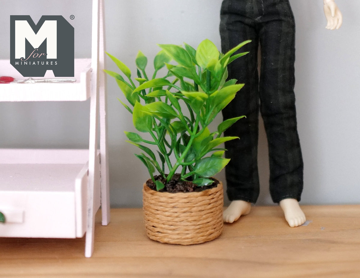 1:12 Scale Miniature Potted Plant in Woven Basket Pot, 2-3/4 inch tall, DIY Dollhouse Supply