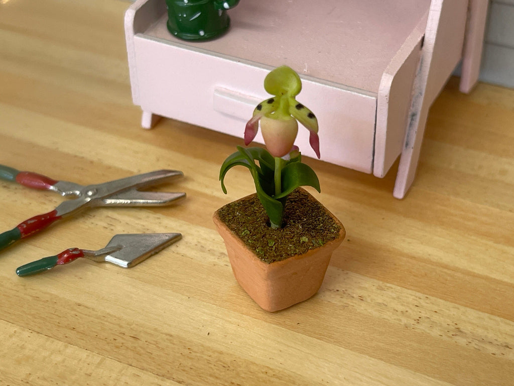1:12 Miniature Clay Orchild , Miniature Potted Flowers , Dollhouse Potted Flowers , Dollhouse Flowers , Miniature Flowers - H033
