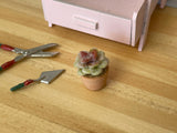 1:12 Miniature Clay Planter Cactus , Miniature Potted Flowers , Dollhouse Potted Flowers , Dollhouse Flowers , Miniature Flowers - F086