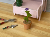 1:12 Miniature Clay Planter Cactus , Miniature Potted Flowers , Dollhouse Potted Flowers , Dollhouse Flowers , Miniature Flowers - F086