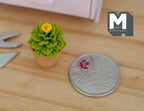 1:12 Miniature Cactus in Round Clay Pot Dollhouse Supplies Garden Flowers and Leaves (Short) - H033