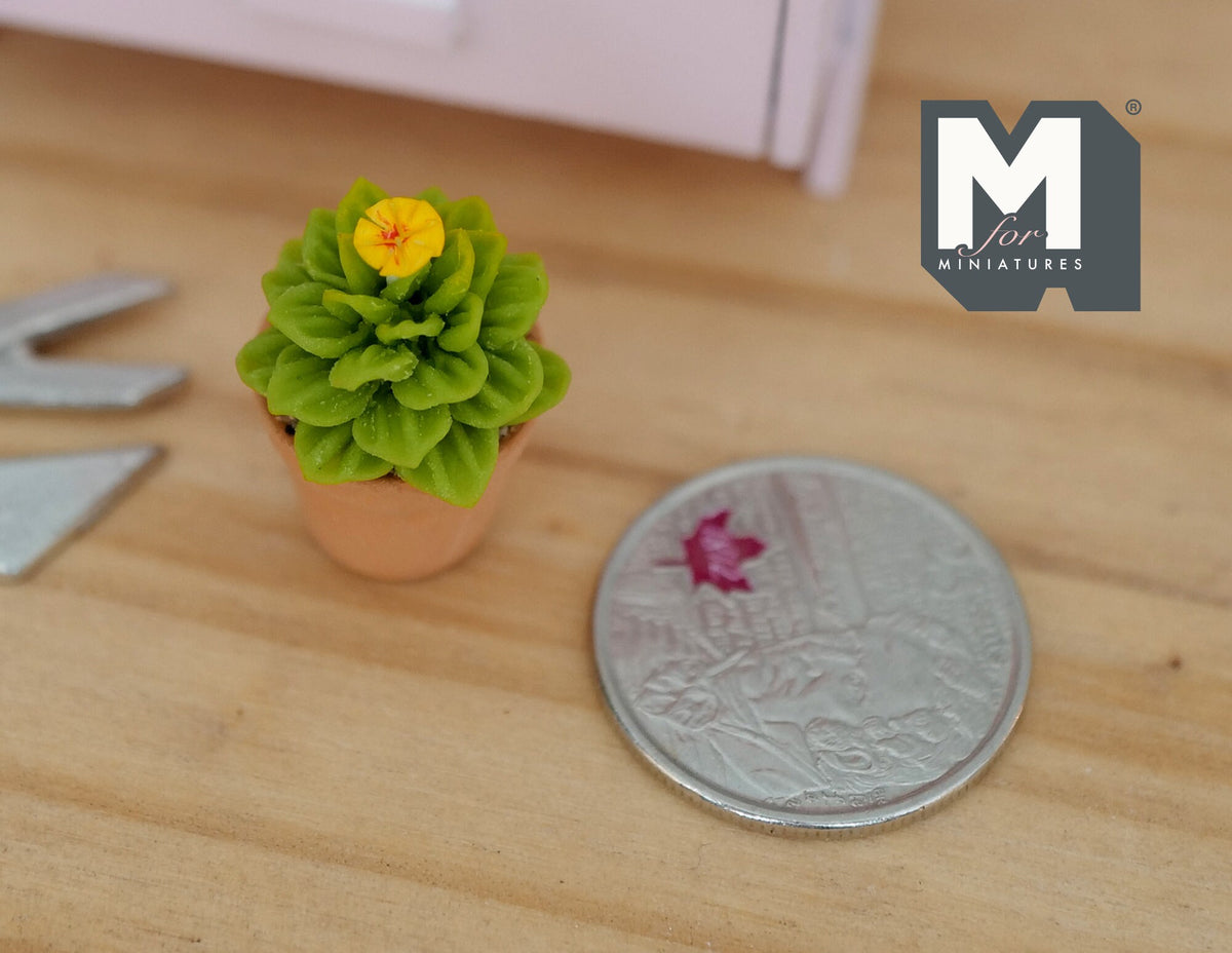 1:12 Miniature Cactus in Round Clay Pot Dollhouse Supplies Garden Flowers and Leaves (Short) - H033