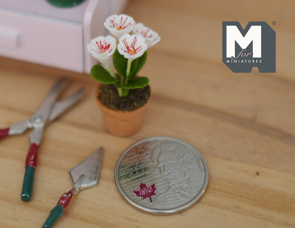 1:12 Scale Miniature Potted Flowers, Terracotta Pot, 1-7/16 inch tall, DIY Dollhouse Supply (white and pink)