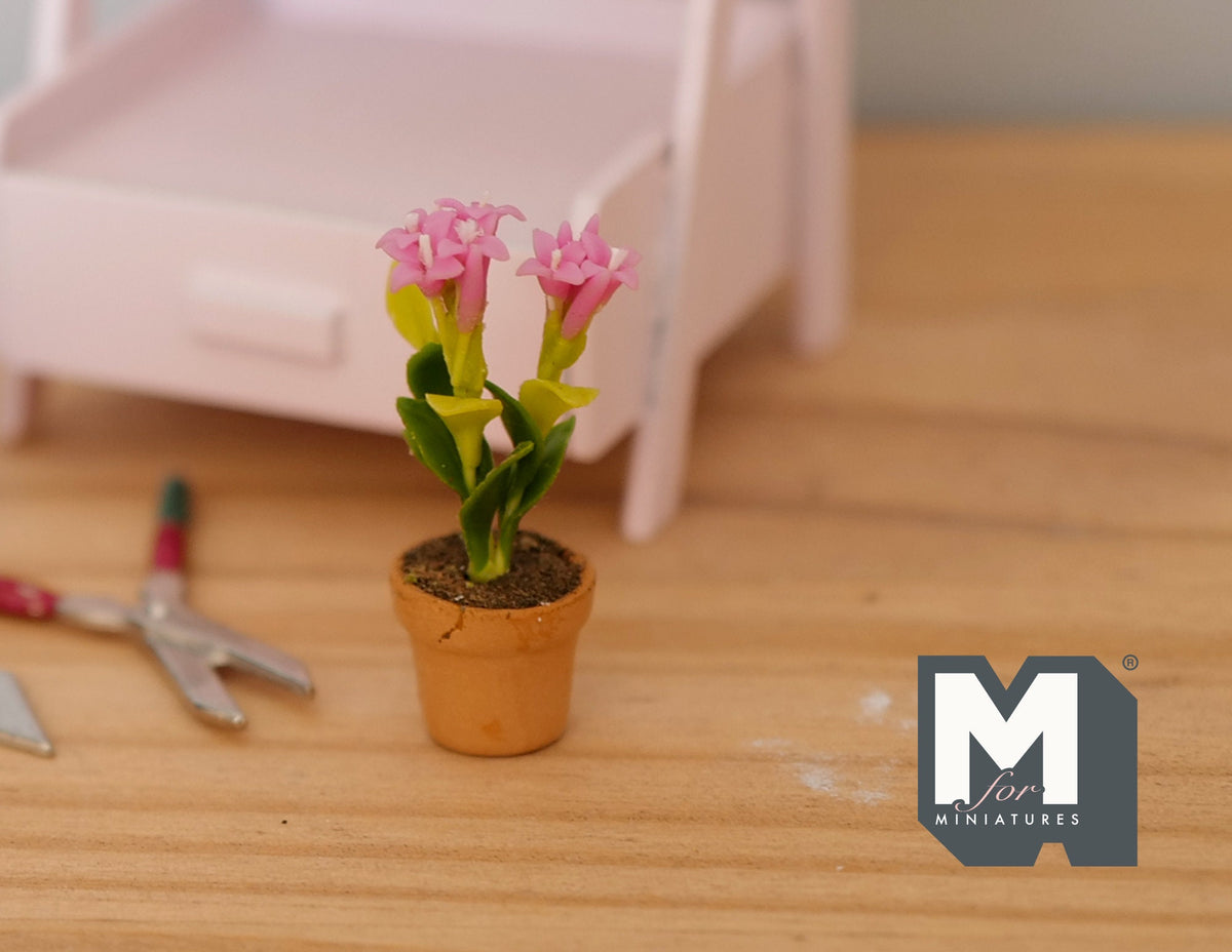 1:12 Scale Miniature Potted Flowers in Terracotta Pot, 1-1/2 inch tall, DIY Dollhouse Supply (pink)