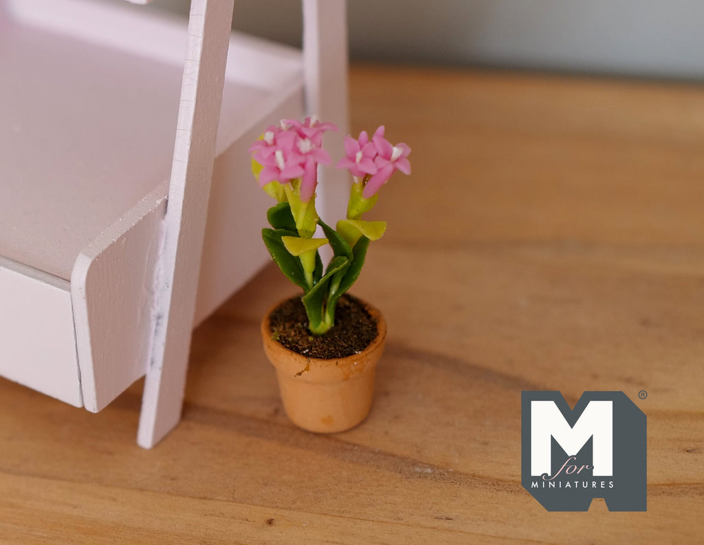 1:12 Scale Miniature Potted Flowers in Terracotta Pot, 1-1/2 inch tall, DIY Dollhouse Supply (pink)