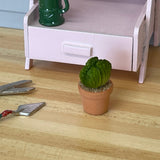 1:12 Miniature Cactus in Round Clay Pot Dollhouse Supplies Garden Flowers and Leaves (Short) -  F088