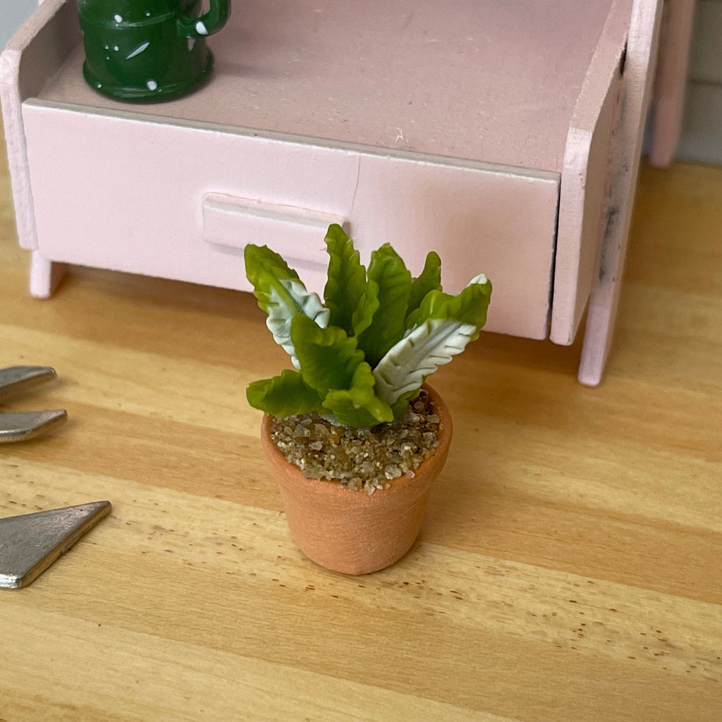 1:12 Miniature Cactus in Round Clay Pot Dollhouse Supplies Garden Flowers and Leaves (Short) - H033