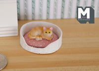 1:12 Dollhouse Miniature cat kitten 1 12th pet (Bed is not included) - C052