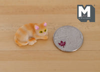 1:12 Dollhouse Miniature cat kitten 1 12th pet (Bed is not included) - C052