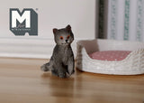 1:12 Dollhouse Supplies Miniature Grey Kitten - C048