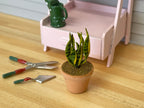 1:12 scale miniature potted snake plant in a clay pot, green leaves with yellow edges, on a wood floor beside garden tools