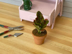 1:12 scale miniature potted plant with red veined leaves in a terracotta pot, on a wood floor beside garden tools